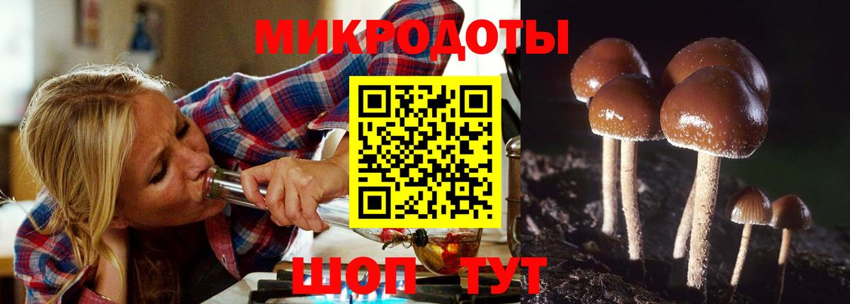 цены наркотик  Вход с VPN  Саратов  Галлюциногенные грибы Cubensis 